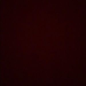 Meet your Posher, Skyler